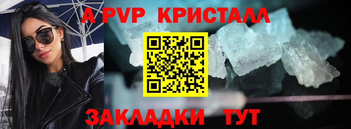 Alfa_PVP СК Туймазы