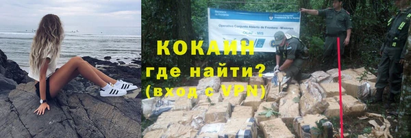 шишки Березники