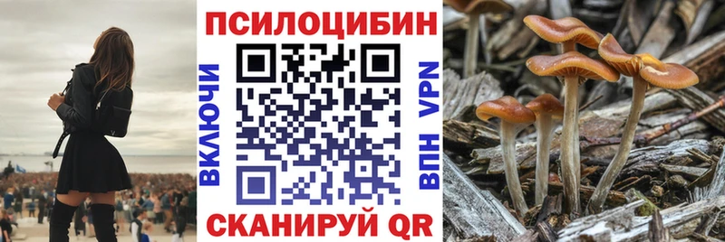 Галлюциногенные грибы Psilocybe  kraken зеркало  darknet телеграм  Туймазы 