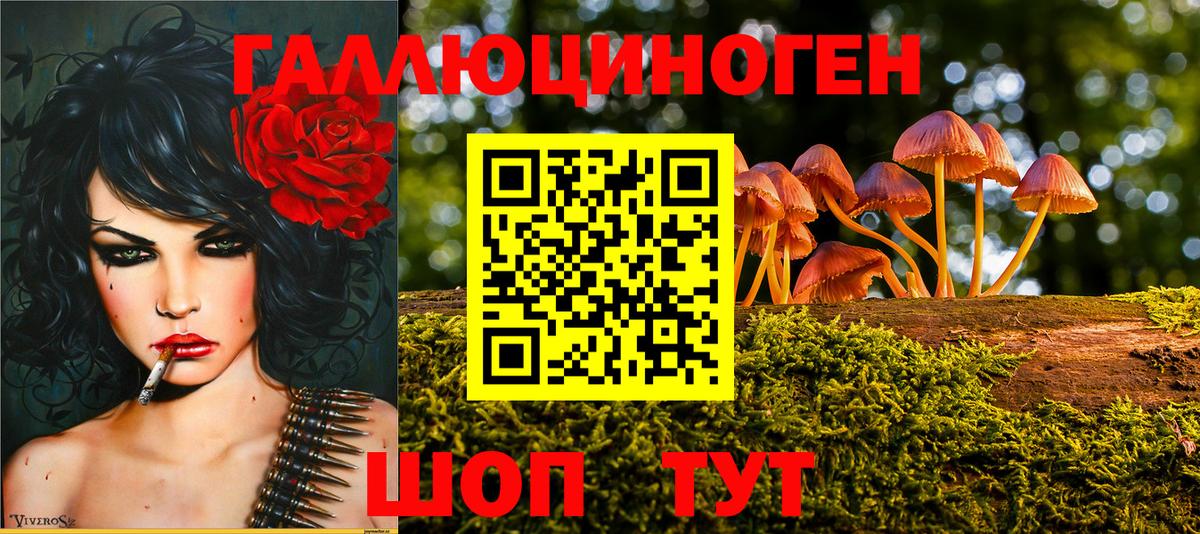 Псилоцибиновые грибы ЛСД Туймазы