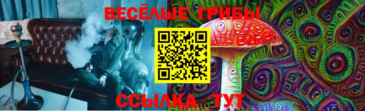 Псилоцибиновые грибы прущие грибы  купить   Туймазы  Вход с VPN 