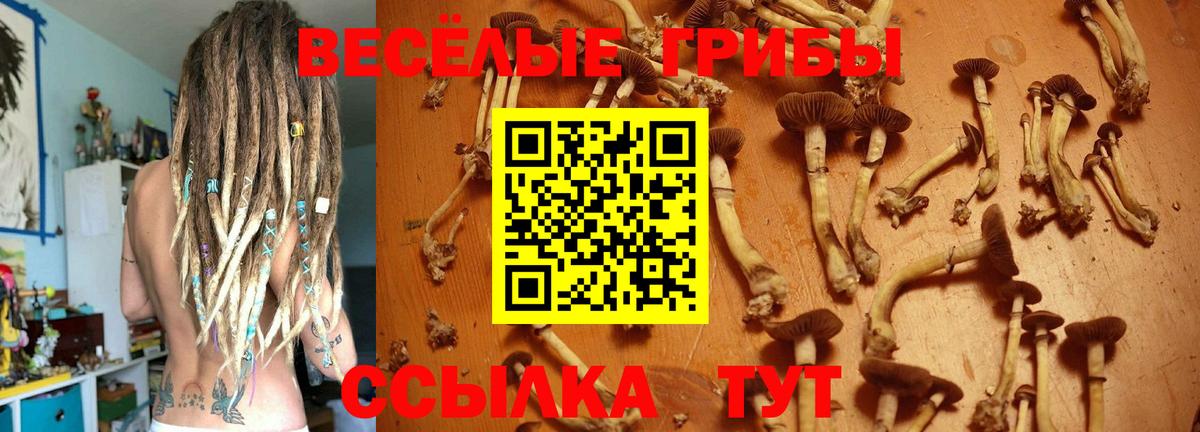 Галлюциногенные грибы Psilocybine cubensis Туймазы